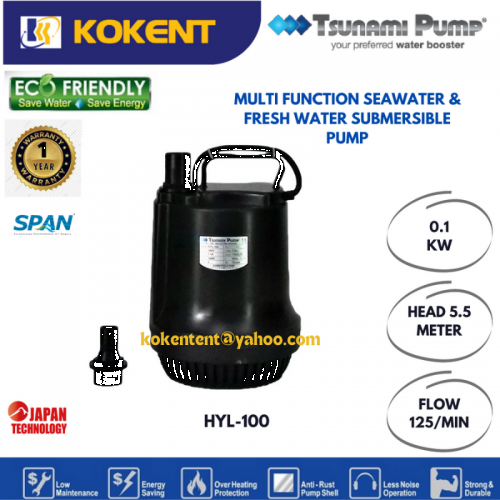 TSUNAMI MULTI FUNCTION SEAWATER & FRESH WATER SUBMERSIBLE PUMP HYL-100