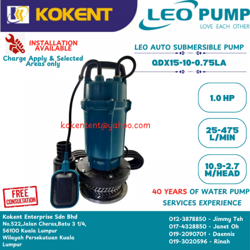 LEO AUTO SUBMERSIBLE WATER PUMP 2