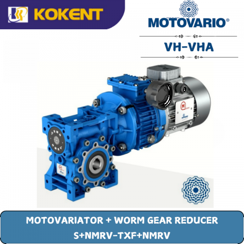 MOTOVARIATOR + WORM GEAR REDUCER  S+NMRV-TXF+NMRV