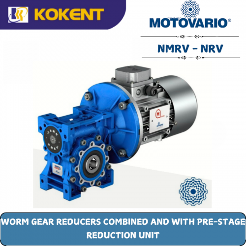 WORM GEAR REDUCERS COMBINED AND WITH PRE-STAGE  REDUCTION UNIT